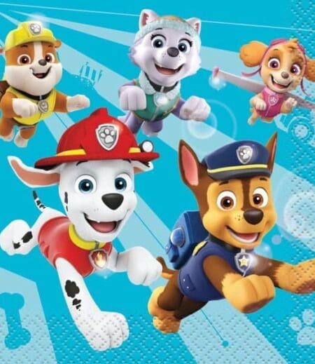 Paw Patrol Deluxe Birthday Party Package for 8 Guests